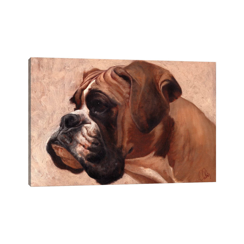 Boxer by Thomas Fluharty - Wrapped Canvas Gallery-Wrapped Canvas Giclée, 20.32 cm H x 30.48 cm W