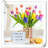 Plastic Makeup Organizer