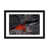 Black Framed Fine Art Paper is unavailable