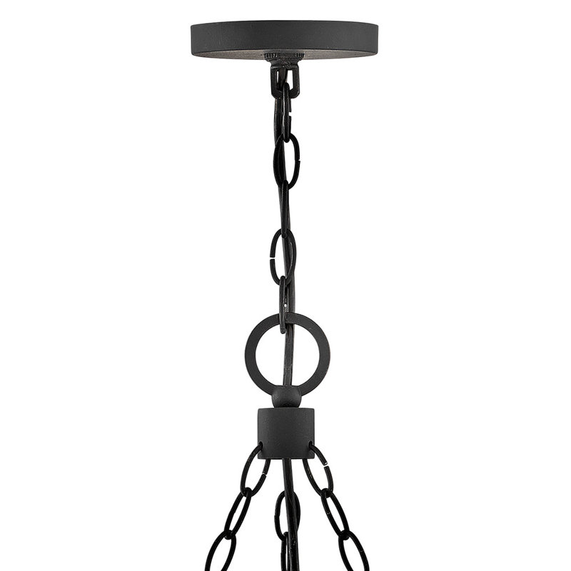 Sawyer Black 9-Light LED Outdoor Chandelier with Clear Seedy Glass