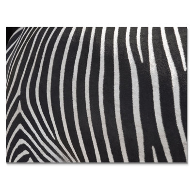 Détail de lignes de zèbre noires et blanches IV - impression sur toile