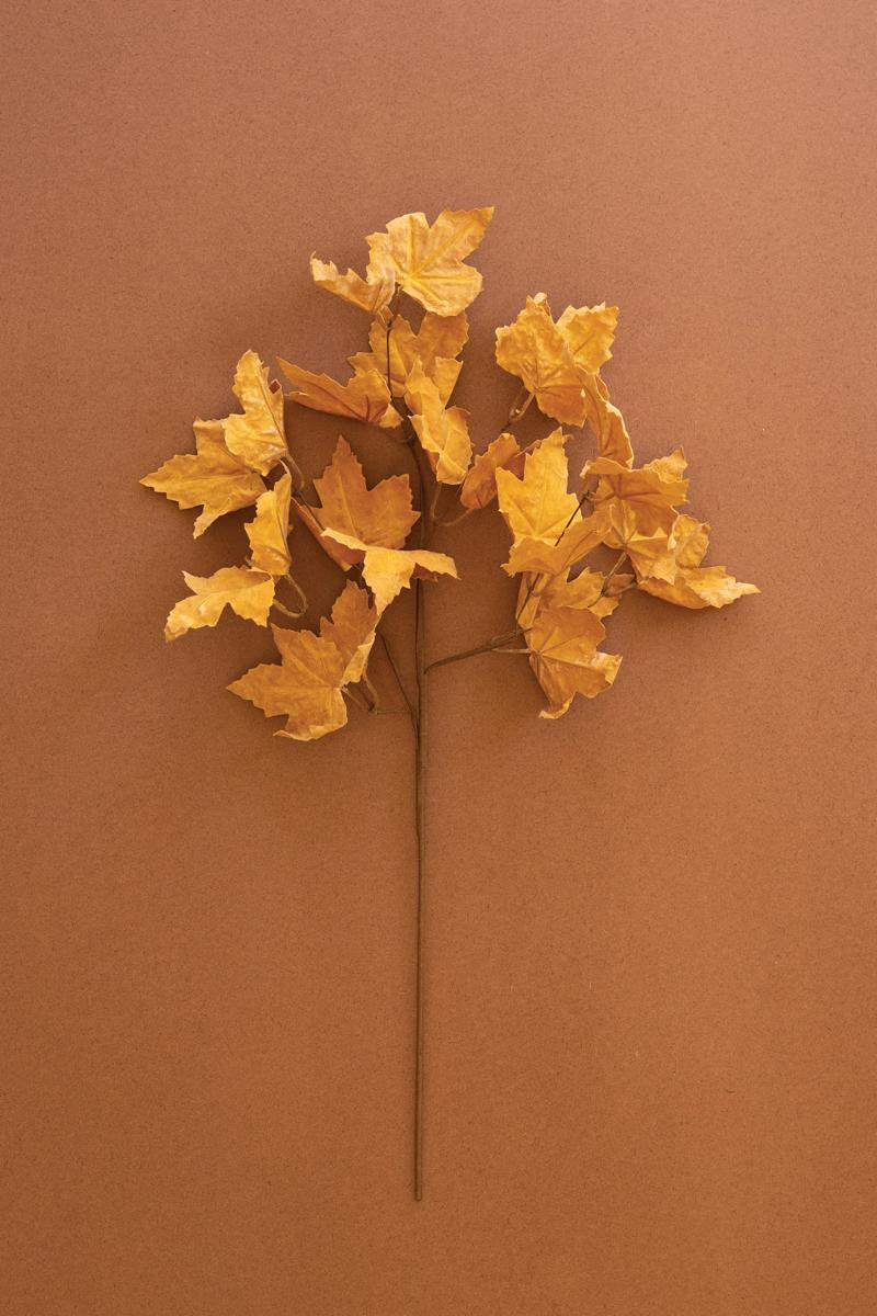 Golden Leaf Stems
