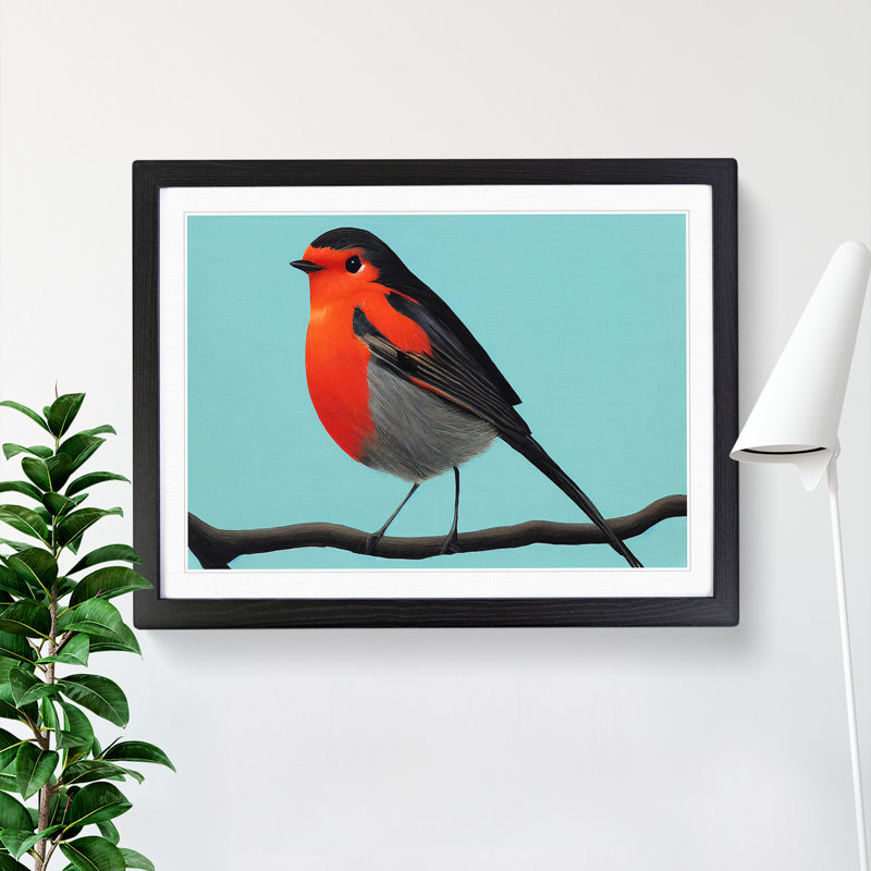 Enlightened Robin Bird - Single Picture Frame Print, Black Framed, 34cm H x 46cm W x 2cm D