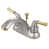 Brushed Nickel/Polished Brass is out of stock