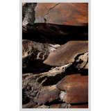 Natural Texture Series 8' Framed Photographic Print on Glass