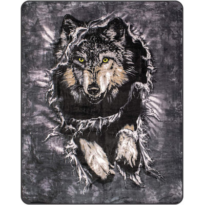 Signature Blanket