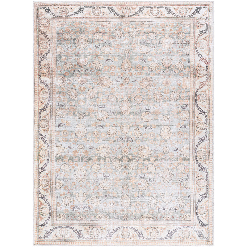 Isaic Washable Oriental Indoor Rug, Rectangle 5'3" x 7'3"