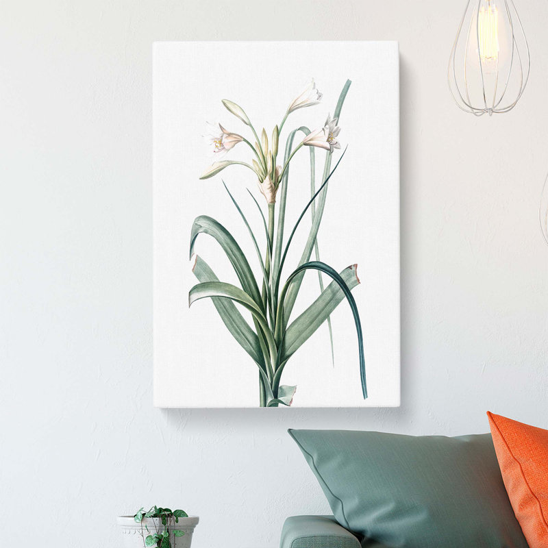 Malgas Lily Flowers by Pierre-Joseph Redoute - Wrapped Canvas Painting, 60cm H x 40cm W x 3cm D