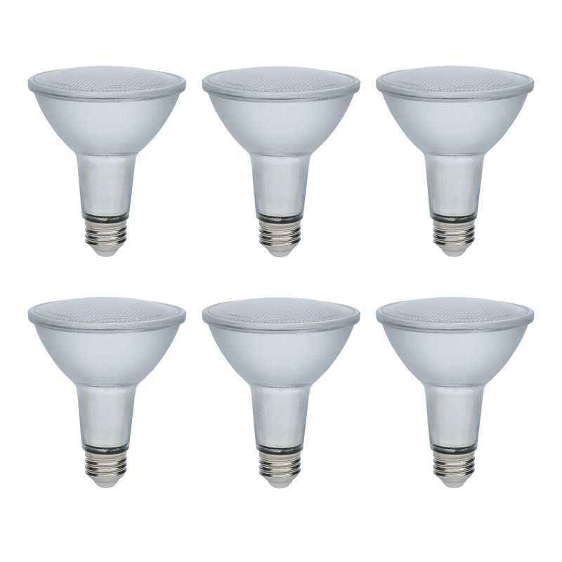 12 Watt Econo LED PAR30LN Bulb Medium Base; 120-277 Volt Silver Finish, 4000K