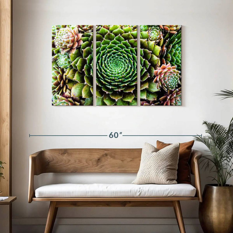 Harnek fleur comme plantes grasses, H 28 po x l 45 po