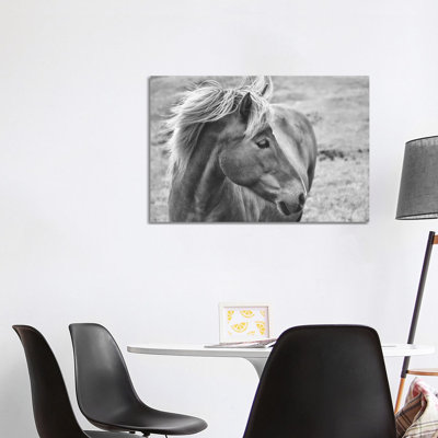 «Icleandic Pony in Black and White» par Michelee Scott - photographie sur toile tendue