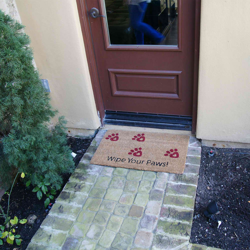Non-Slip Outdoor Doormat