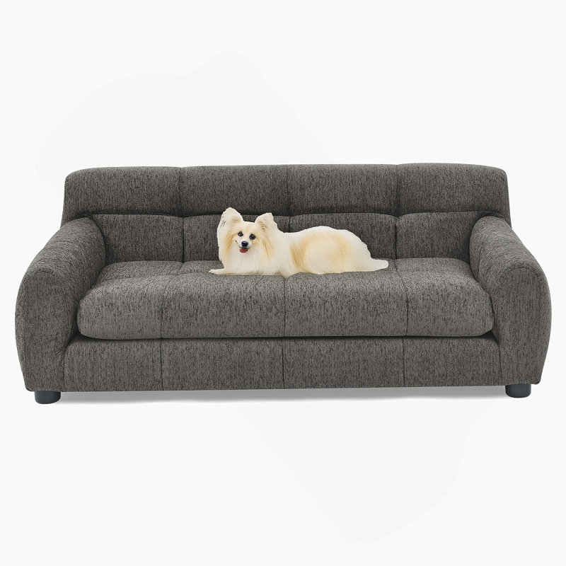 Canapé doux et confortable pour animaux de compagnie avec dossier et accoudoirs, pour les chiens de petite et moyenne taille dans les maisons modernes