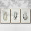 Oysters On The Bay I, ensemble de 3 toiles encadrées sur toile-97709556-97709557