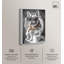 Impression sur toile Frenchie-119992447-123174657