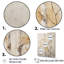 Arbre de minimalisme beige sur fond de bouleau-537860193-537860206