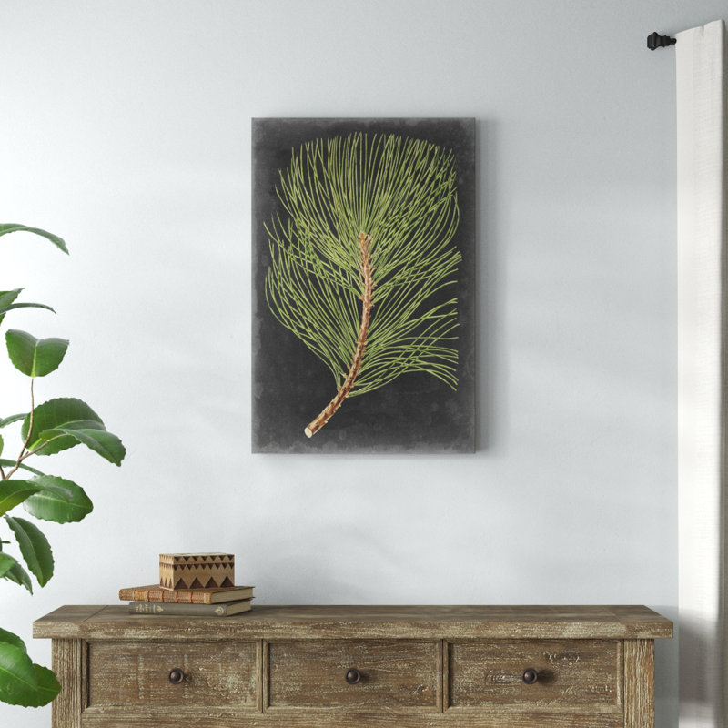 «Dramatic Pine III» par Vision Studio, reproduction d'art sur toile tendue, H 36 po x l 24 po, Papier avec cadre unique doré