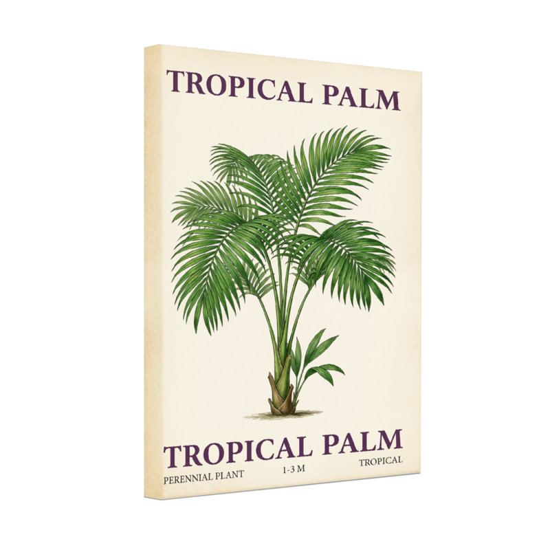 Plantes et fleurs - palmier tropical