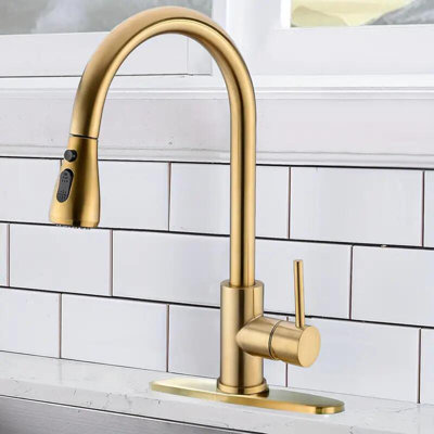 Senlesen Pull Out Kitchen Faucet