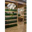 Swirl 1 - Light Pendant-975104271-947572268-944414309