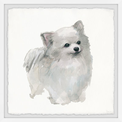 " White Pomeranian " by Parvez Taj