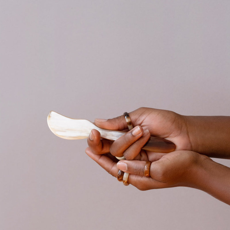 Maadili Collective Ankole Longhorn