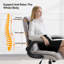 Office Chair-1599292655