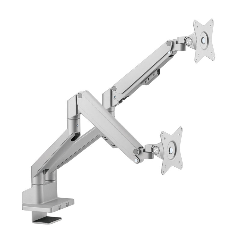 Bras de moniteur doubles réglables, Noir