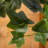 Fabric Ivy Arrangement