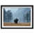 Black Shadowbox