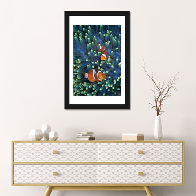 « matin anemonefish pair », impression sur toile