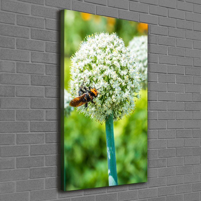 Garlic Flowers - Wrapped Canvas Print