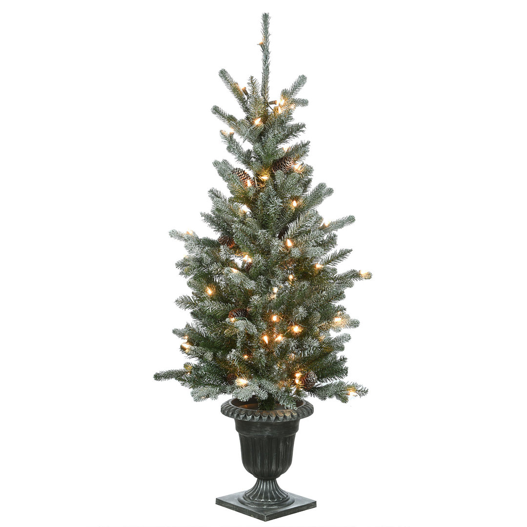 4 ft. Snowy Morgan Spruce Entrance Tree with Twinkly LED Lights The Holiday Aisle®