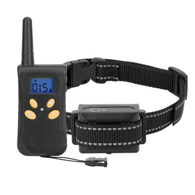 Collier de dressage pour chien