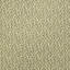 Schumacher X Veere Grenney Folly Wallpaper-1010868831