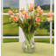 Tulip Vase - 16 Inches-1520559523