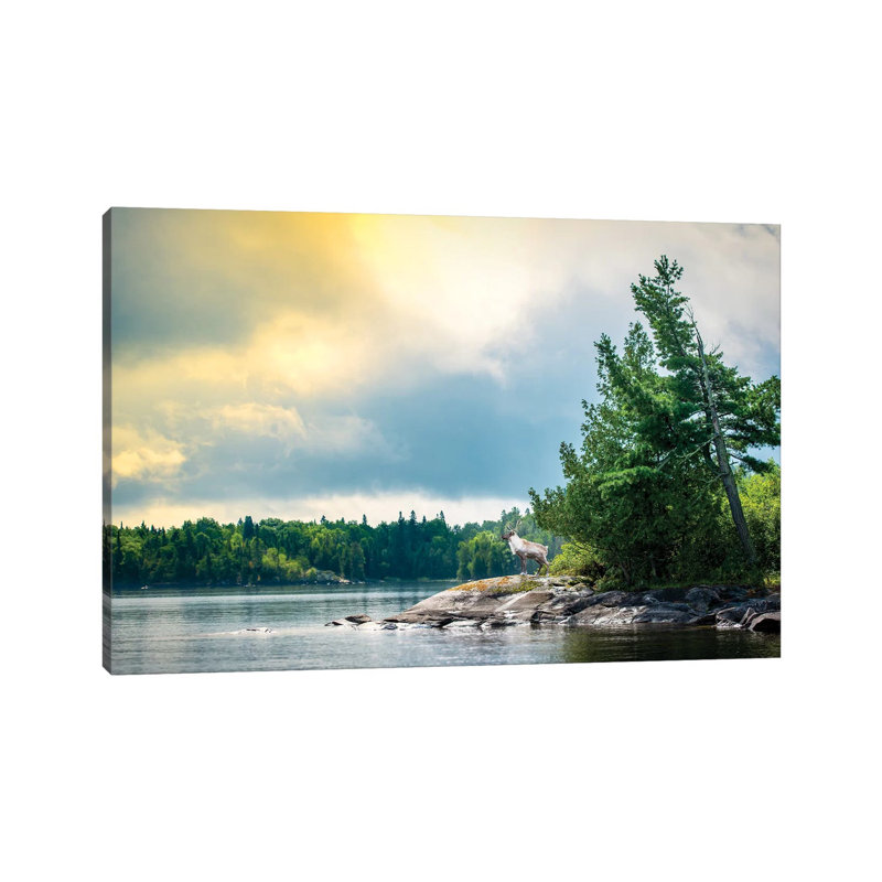Caribou Posing On The Shore Of Lake by Nik Rave - Wrapped Canvas Print, 20.32 cm H x 30.48 cm W