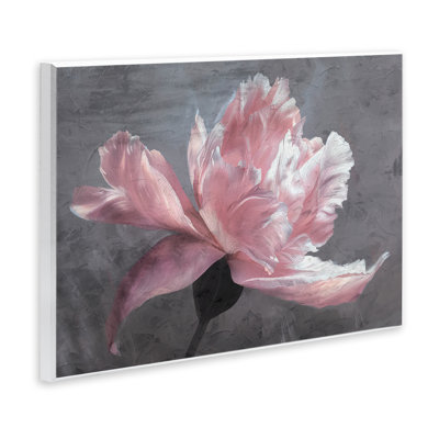 Conception de plaques murales Stupell Industries par Shirley