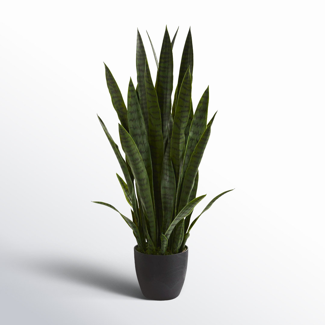 38" Artificial Snake Plant in Planter AllModern Flower 