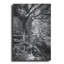  «Old Tree» par Lori Deiter, art mural en métal, 24 po x 36 po-1026677115
