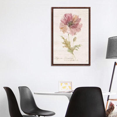 Soft Poppy by Carol Robinson - Painting on Canvas