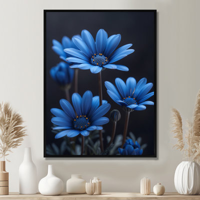 Photo de marguerites monochromes bleues et noires - salon de marguerites