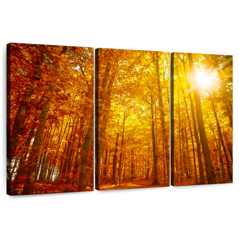 Alvord Dramatic Autumn Sunlight, H 24 po x l 38 po