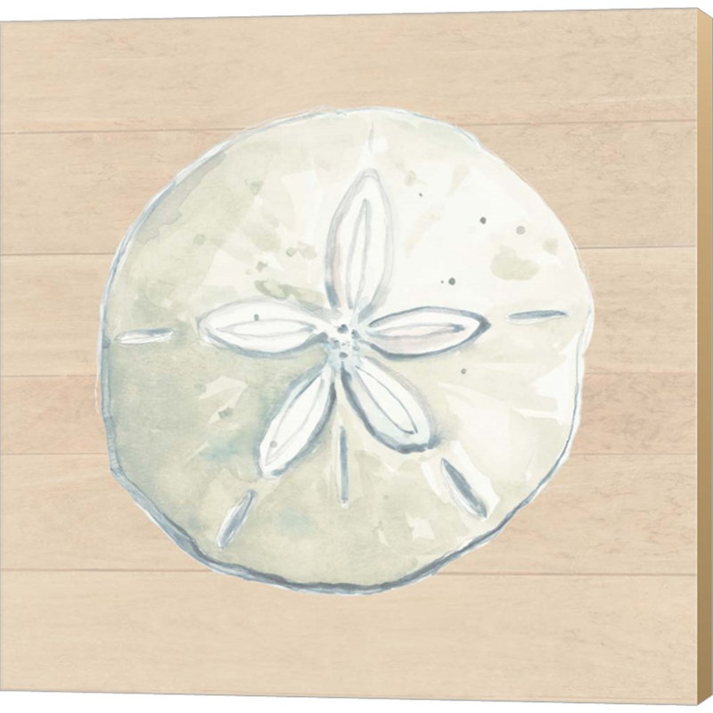 «Sand Dollar» par Patricia Pinto, art mural sur toile