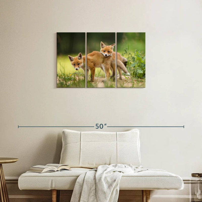 Brampt Fox Kits, 20" H x 33" W