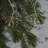 Aamorah Battery Operated Starburst Garland String Lights