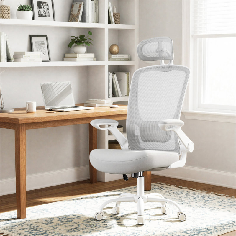 Chaises de bureau