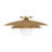 Sherrer 1-Light Ceiling Light in Brass-302410171