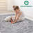 Naar Marfi Area Rugs, Silver/Oriental Accent Power Loom Machine -Crafted Rug-604925364