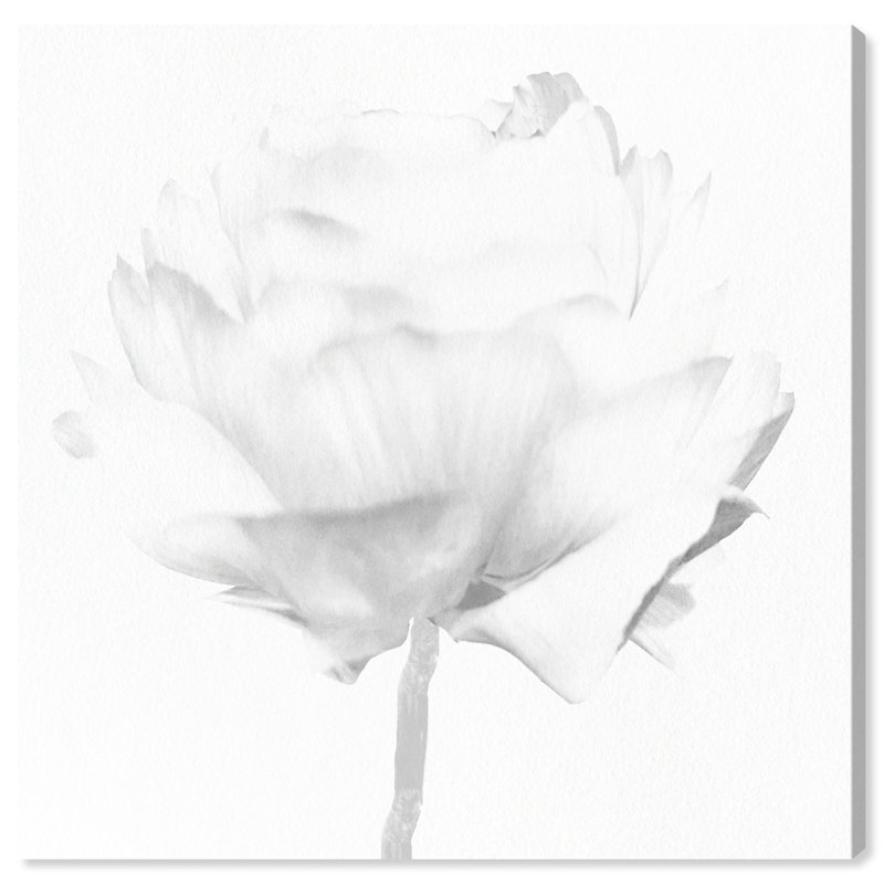 White Peony due Florals - reproduction d'art sur toile, H 40 po x l 40 po, Toile tendue